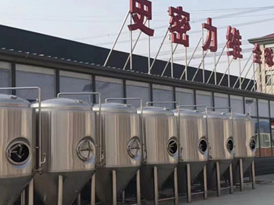 东阳精酿啤酒设备厂—如何判断精酿啤酒设备的密封件需要更换？